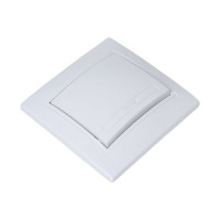 Кнопка включения Intro Plano 110901 10А 250В, IP20, СУ, Plano, белый Б0053830