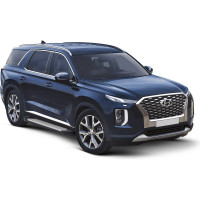 Пороги на автомобиль Rival Bmw-Style круг для Hyundai Palisade 2020-н.в., 193 см, 2 шт., алюминий D193AL.2311.1