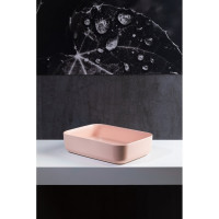 Раковина ALLEN BRAU Fantasy 50 4.11021.SM розовый 00269494