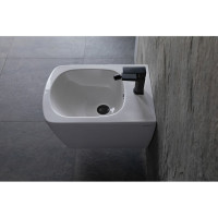 Смеситель для биде ALLEN BRAU Infinity 5.21004-31 00265442