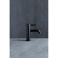 Смеситель для раковины ALLEN BRAU Priority 5.31001-31 00265349