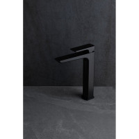 Смеситель для раковины ALLEN BRAU Infinity 5.21002-31 00265438