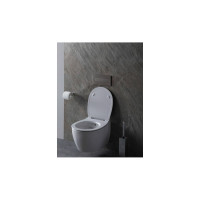 Подвесной унитаз ALLEN BRAU Fantasy 4.11HC1.20 00287728