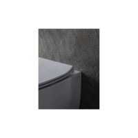 Подвесной унитаз ALLEN BRAU Fantasy 4.11HC1.20 00287728