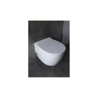 Подвесной унитаз ALLEN BRAU Fantasy 4.11HC1.20 00287728