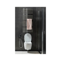 Чаша подвесного унитаза ALLEN BRAU Fantasy 4.11004.20 00269463