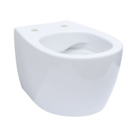 Чаша подвесного унитаза ALLEN BRAU Fantasy 4.11004.20 00269463