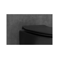 Чаша подвесного унитаза ALLEN BRAU Fantasy 4.11004.31 00269465