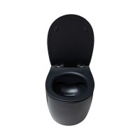 Чаша подвесного унитаза ALLEN BRAU Fantasy 4.11004.31 00269465