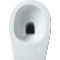 Чаша приставного унитаза ALLEN BRAU Fantasy 4.11007.20 00269470