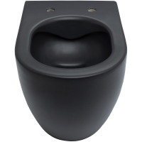 Чаша подвесного унитаза ALLEN BRAU Reality 4.32006.31 черный 00280166