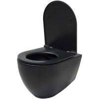 Чаша подвесного унитаза ALLEN BRAU Reality 4.32006.31 черный 00280166