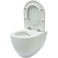 Чаша подвесного унитаза ALLEN BRAU Reality 4.32006.20 00280193