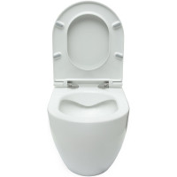 Чаша подвесного унитаза ALLEN BRAU Reality 4.32006.20 00280193