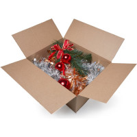 Картонная коробка PACK INNOVATION Гофрокороб 30.5x24.5x11 см, объем 8.5 л, 50 шт IP0GK302511-50