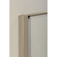 Душевая дверь ALLEN BRAU Priority 100 серебро браш 3.31005.BA 00252370