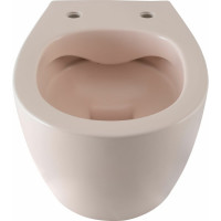 Чаша подвесного унитаза ALLEN BRAU Fantasy 4.11004.SM розовый 00288278