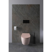 Чаша подвесного унитаза ALLEN BRAU Fantasy 4.11004.SM розовый 00288278