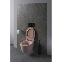 Чаша подвесного унитаза ALLEN BRAU Fantasy 4.11004.SM розовый 00288278