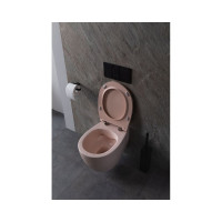 Чаша подвесного унитаза ALLEN BRAU Fantasy 4.11004.SM розовый 00288278