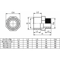 Двойной адаптер НПВХ AQUAVIVA муфтовое/втулочное окончание НР 50x63x2" THR05063F 48004