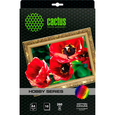 Холст для струйной печати CACTUS CS-CA426010 A4/260г/м2/10л. 805878