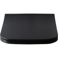 Сиденье для унитаза ALLEN BRAU INFINITY 2 Soft-Close, дюропласт, антрацит 4.21014.AN 00301925