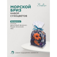 Набор сухоцветов из натуральных материалов Вещицы, с ароматом морского бриза, Д100 Ш75 В155, пакет YW-SUH50