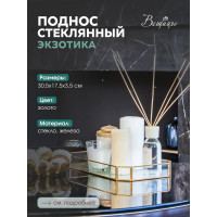 Стеклянный поднос Вещицы HANDY HOME экзотика, 305х175х35 Fancy26