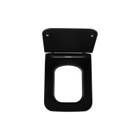 Сиденье для унитаза ALLEN BRAU 4.33008.31 LIBERTY 2 Soft-Close дюропласт черный мат 00312473