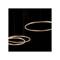 Подвесной светильник LOFT IT Ring 10017/3L