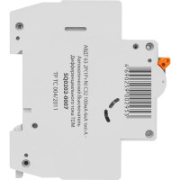 Автоматический выключатель дифференциального тока TDM ELECTRIC АВДТ 63 2P C32 100мА SQ0202-0007