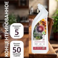 Средство для удаления сложных загрязнений различного типа, для уборки дома КЕНАЗ пятновыводитель для одежды, очиститель салона, чистит пятна от вина и другие загрязнения, 0.8 л 809899