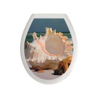 Сиденье для унитаза с крышкой МУЛЬТИДОМ Прибой СП72-102