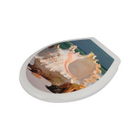 Сиденье для унитаза с крышкой МУЛЬТИДОМ Прибой СП72-102