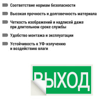 Знак ВЫХОД TDM ELECTRIC 200х100мм SQ0817-0056