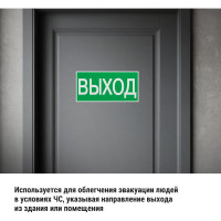 Знак ВЫХОД TDM ELECTRIC 200х100мм SQ0817-0056