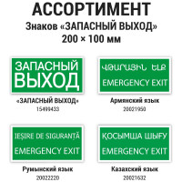 Знак "ЗАПАСНЫЙ ВЫХОД" TDM ELECTRIC 200х100мм (румынский язык), в упаковке 10 штук SQ0817-0076