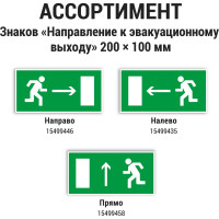 Знак "ЗАПАСНЫЙ ВЫХОД" TDM ELECTRIC 200х100мм (румынский язык), в упаковке 10 штук SQ0817-0076