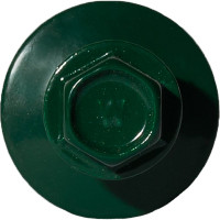 Саморез для сэндвич-панелей HARDWEX ТМ HWX16-P20-6.3/5.5x205 мм, св.№6, RUSPERT, RAL 6005, 50 шт. 5190024091292