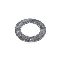 Прокладка Terma 1", паронит, 5 шт 27993