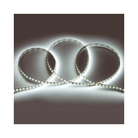 Лента светодиодная General Lighting Systems GLS-2835-120-9,6-12-IP20-PRO-6, 5 метров, 9,6Вт/м, 12В, 8мм, 120 диодов/м, 7Лм/чип, IP20, 6500К - холодный белый, 501420