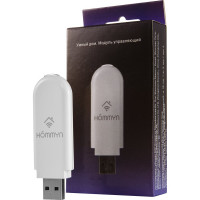 Съемный управляющий модуль HOMMYN HDN/WFN-02-01  НС-1416708