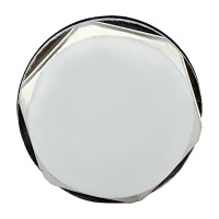 Заглушка футорки для радиатора PROFACTOR 3/4" PF RP 563