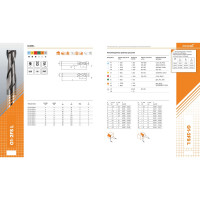 Фреза G1-2FS-1000-L (10х10х30х100 мм) АКСИС 00001371577