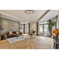 Потолочная люстра Evoluce SLE110102-07