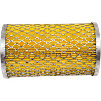 Элемент топливного фильтра для а/м КАМАЗ/ЗИЛ/ГАЗ 3309/4301(улучшенная фильтрация) Riginal RG740-1117040A-C320