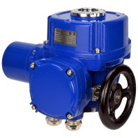 Электропривод DN.ru четвертьоборотный QT-W (M)-120 с моментной муфтой и штурвалом, 220В D300-00739