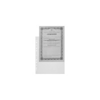 Папка Attache Selection файл-вкладыш А4+ 105 мкм, 10 шт в упаковке 478272