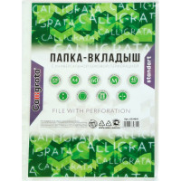 Вертикальный файл-вкладыш Calligrata А4, 40 мкм, матовый, 100 шт 6534841